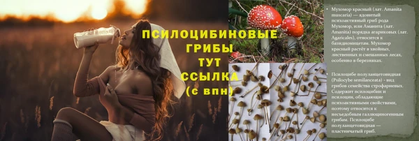 гашишное масло Елабуга