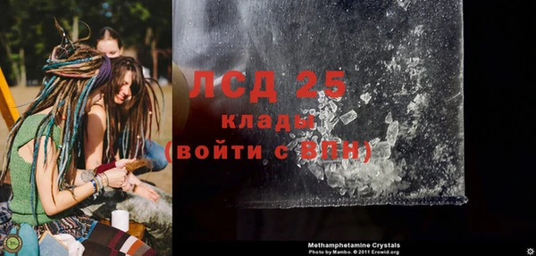ГАЛЛЮЦИНОГЕННЫЕ ГРИБЫ Елизово