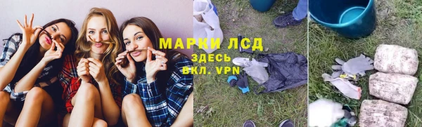 ГАЛЛЮЦИНОГЕННЫЕ ГРИБЫ Елизово