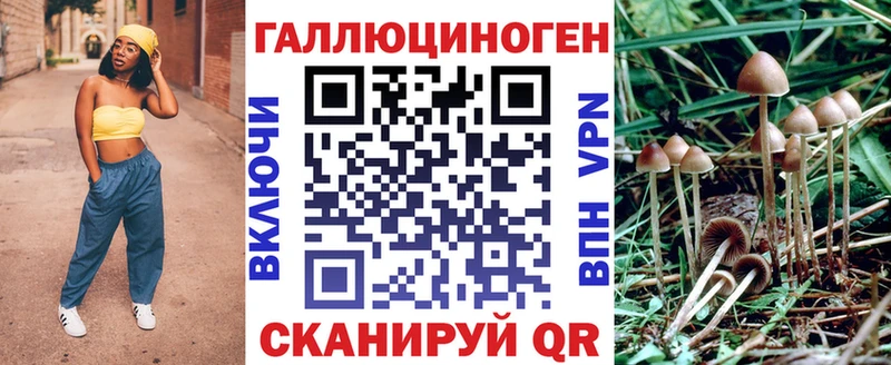Купить закладки  Черемхово  Галлюциногенные грибы ЛСД 
